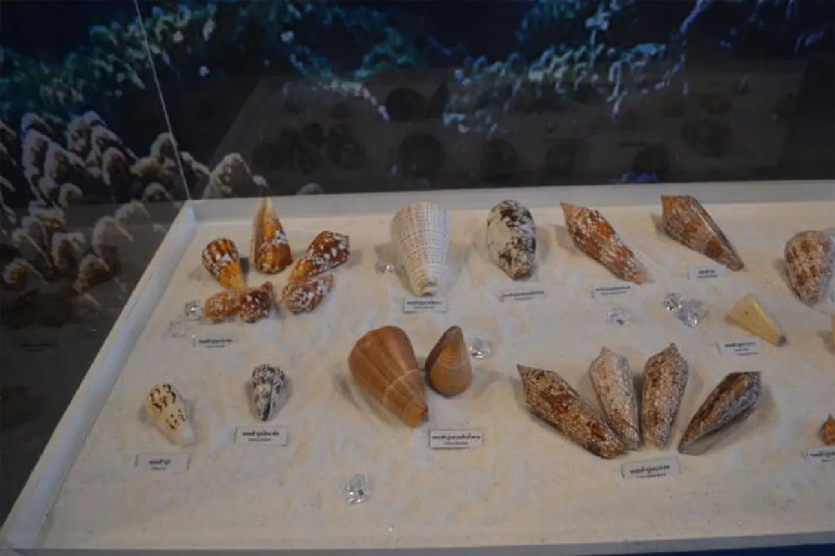 พิพิธภัณฑ์ธรรมชาติวิทยา เรียนรู้ชีวิตที่หลากหลาย