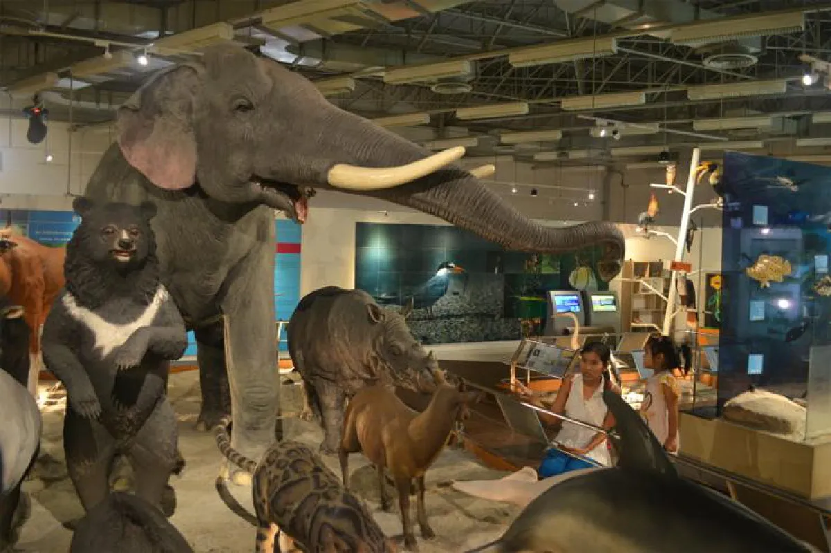 พิพิธภัณฑ์ธรรมชาติวิทยา เรียนรู้ชีวิตที่หลากหลาย