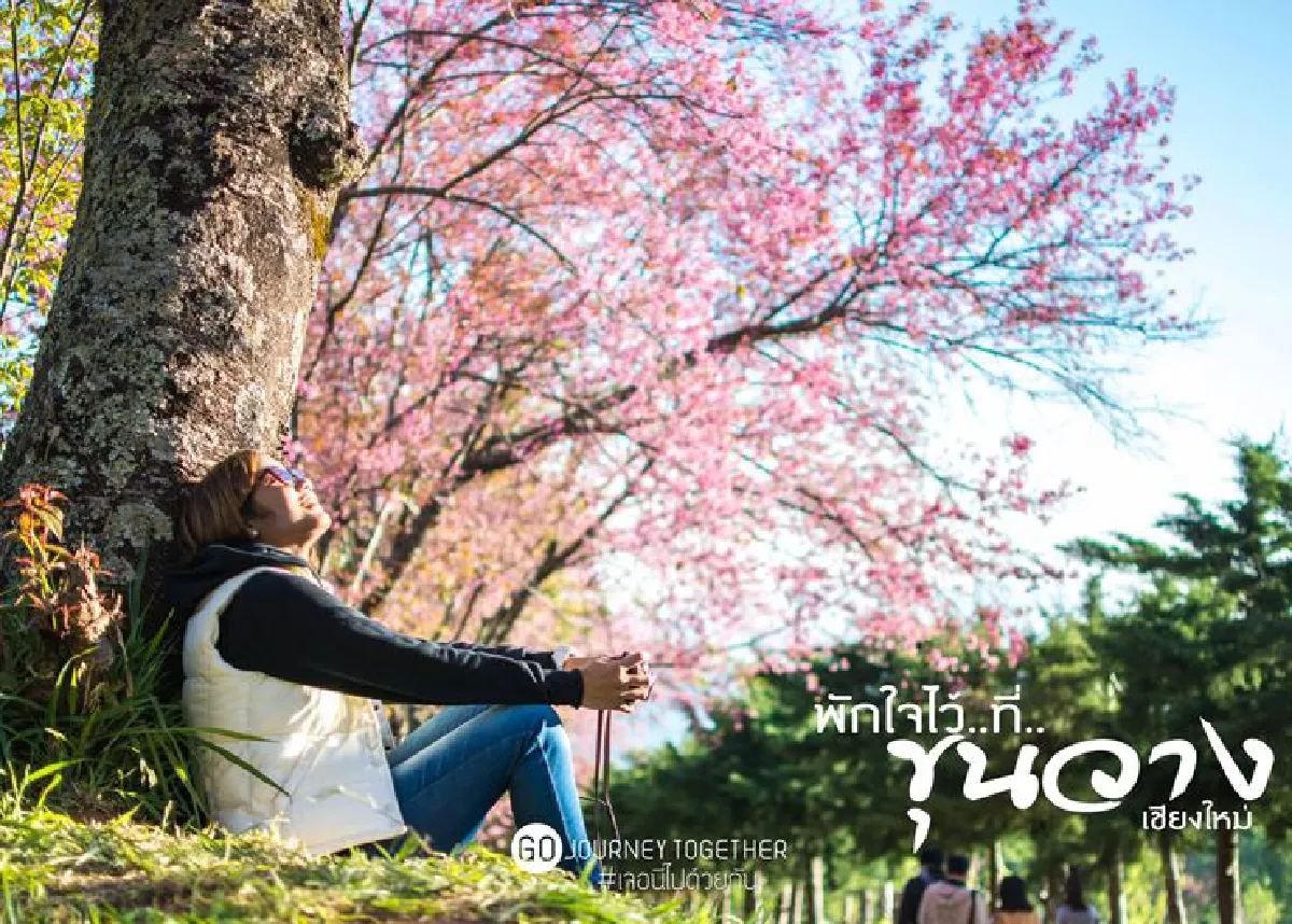 'ทุกคนมีสถานที่แห่งความสุขของตัวเอง' Go Journey Together เจอนี่ไปด้วยกัน