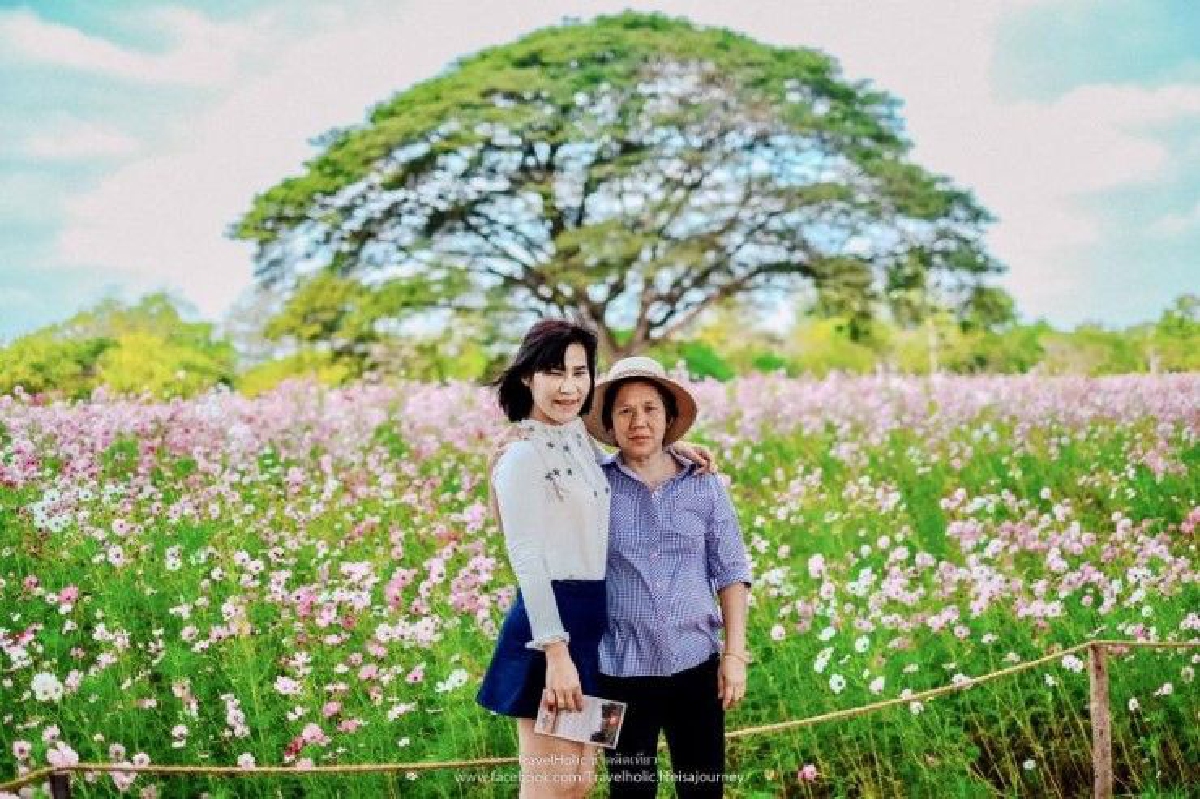 ไดอะรี่ของนักเดินทาง TravelHolic ชีวิตติดเที่ยว ไดอะรี่ของนักเดินทาง TravelHolic ชีวิตติดเที่ยว