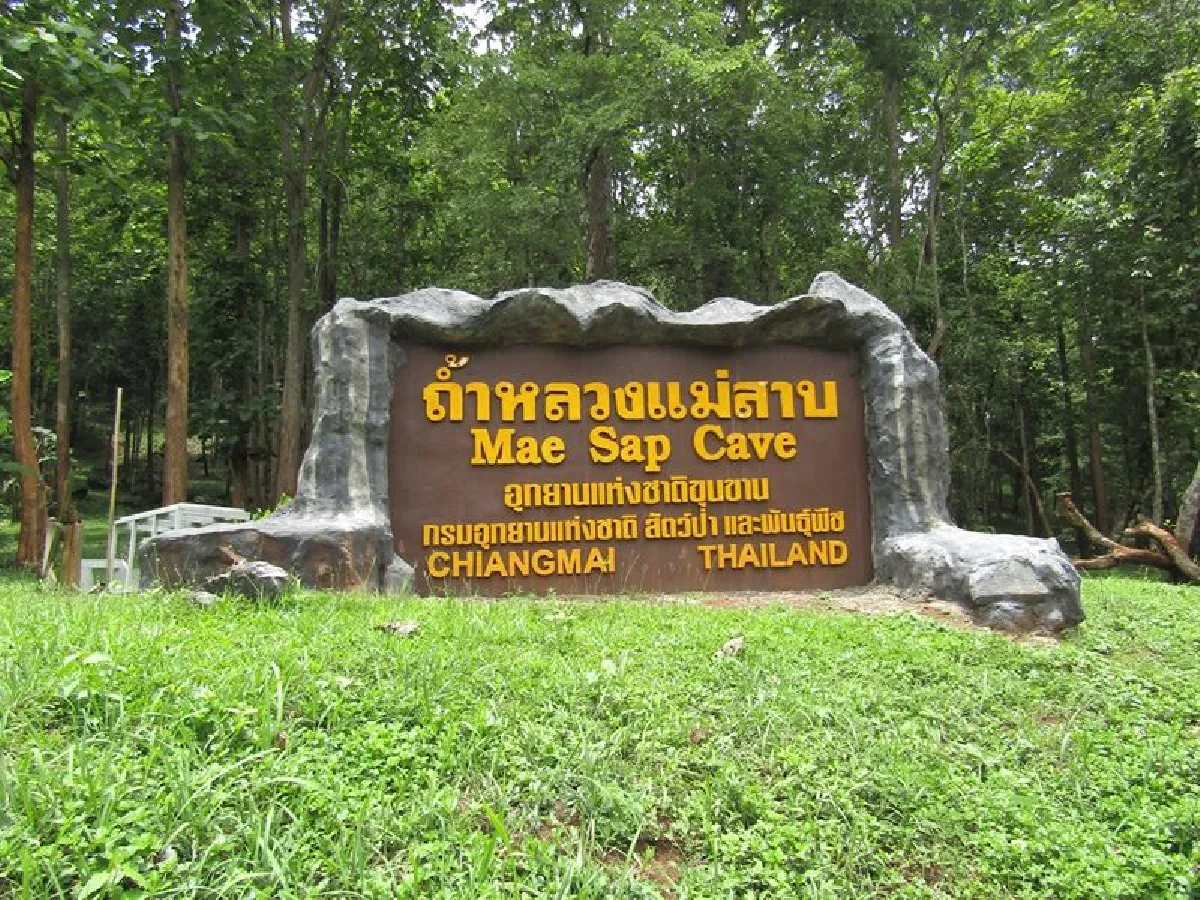 ฮือฮาพบค้างคาวเผือกในถ้ำหลวงแม่สาบ