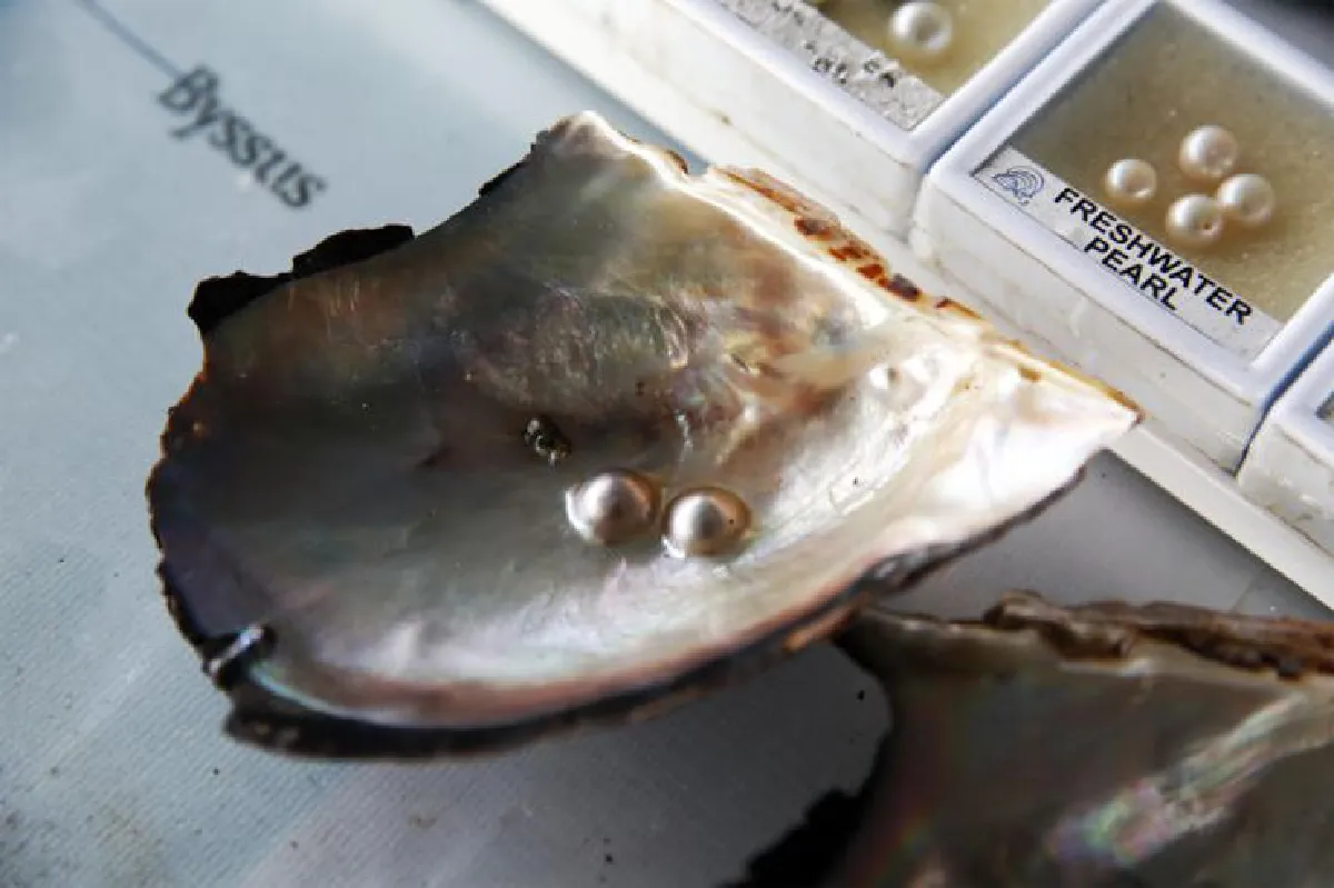 'ภูเก็ต' ภาพจำกับภาพจริง