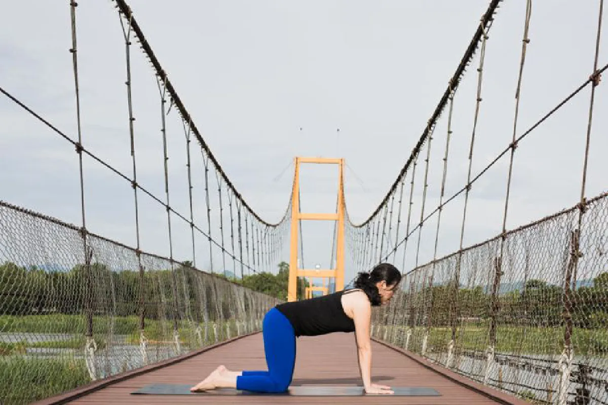 The Parivrttamarjari asana (Twisting cat pose)