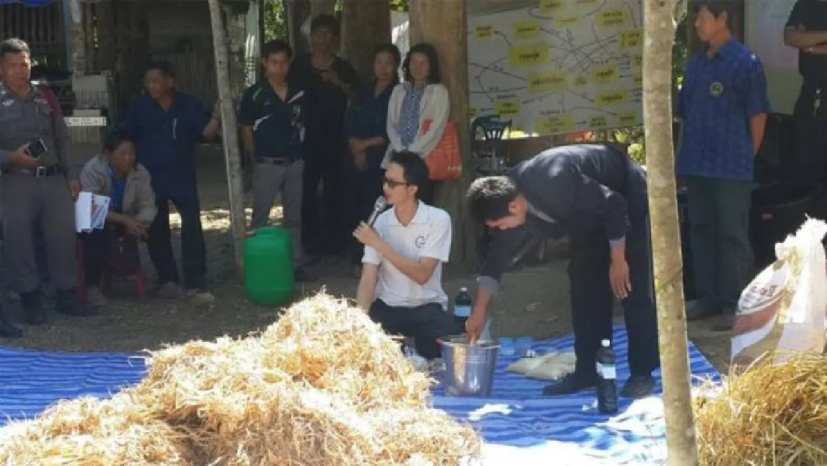 อาหารหมักจากเปลือกข้าวโพด ลดการเผา-ลดต้นทุนอาหารสัตว์