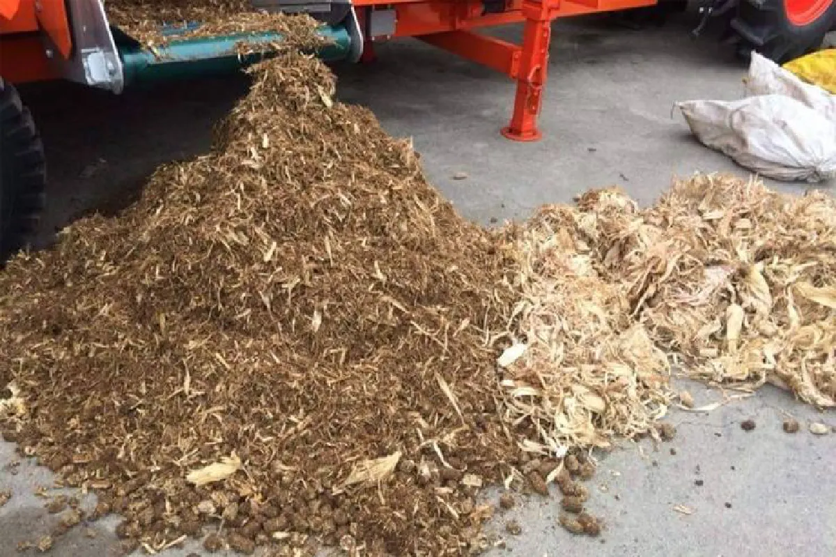 อาหารหมักจากเปลือกข้าวโพด ลดการเผา-ลดต้นทุนอาหารสัตว์