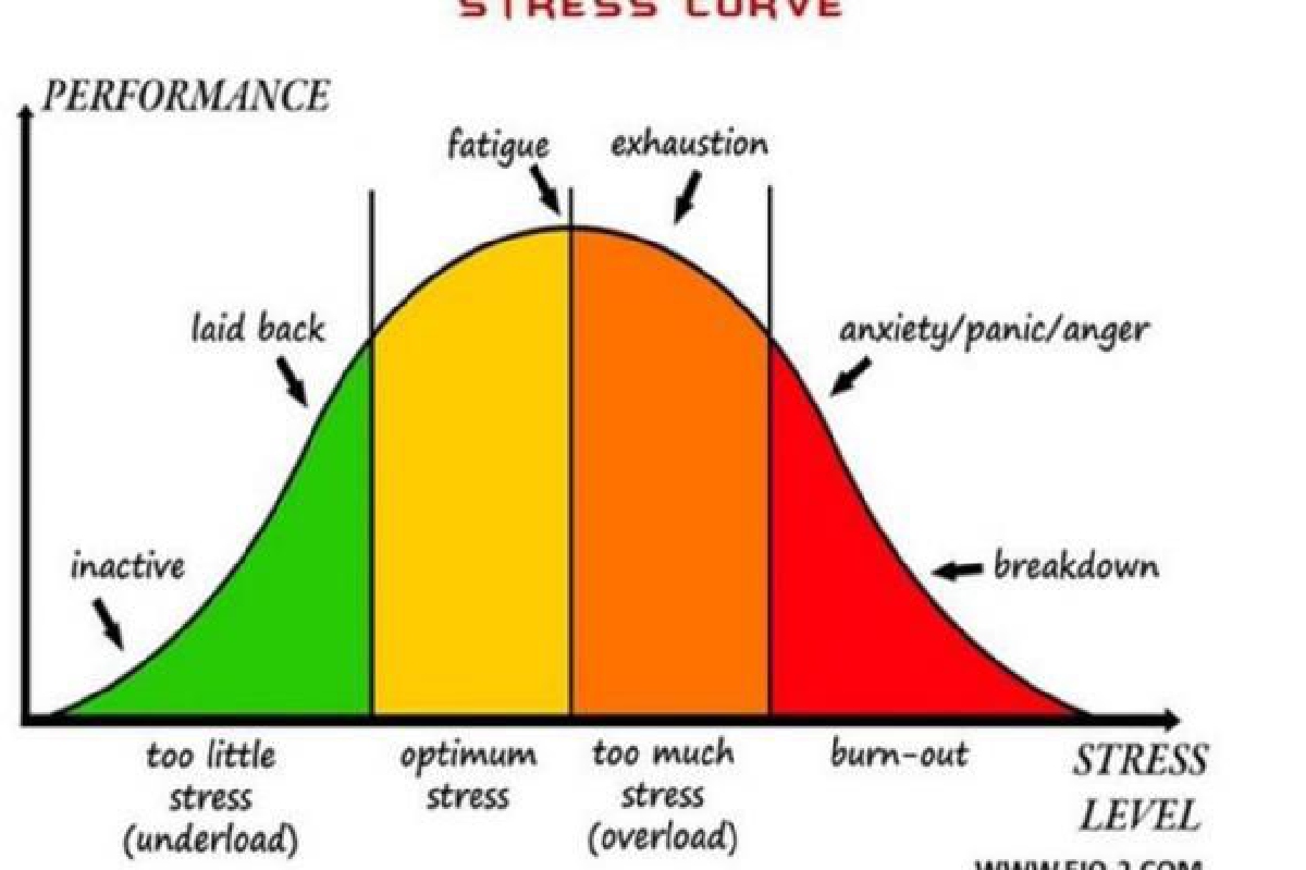 กลับไปอยู่ใน Comfort Zone กันเถอะ กลับไปอยู่ใน Comfort Zone กันเถอะ