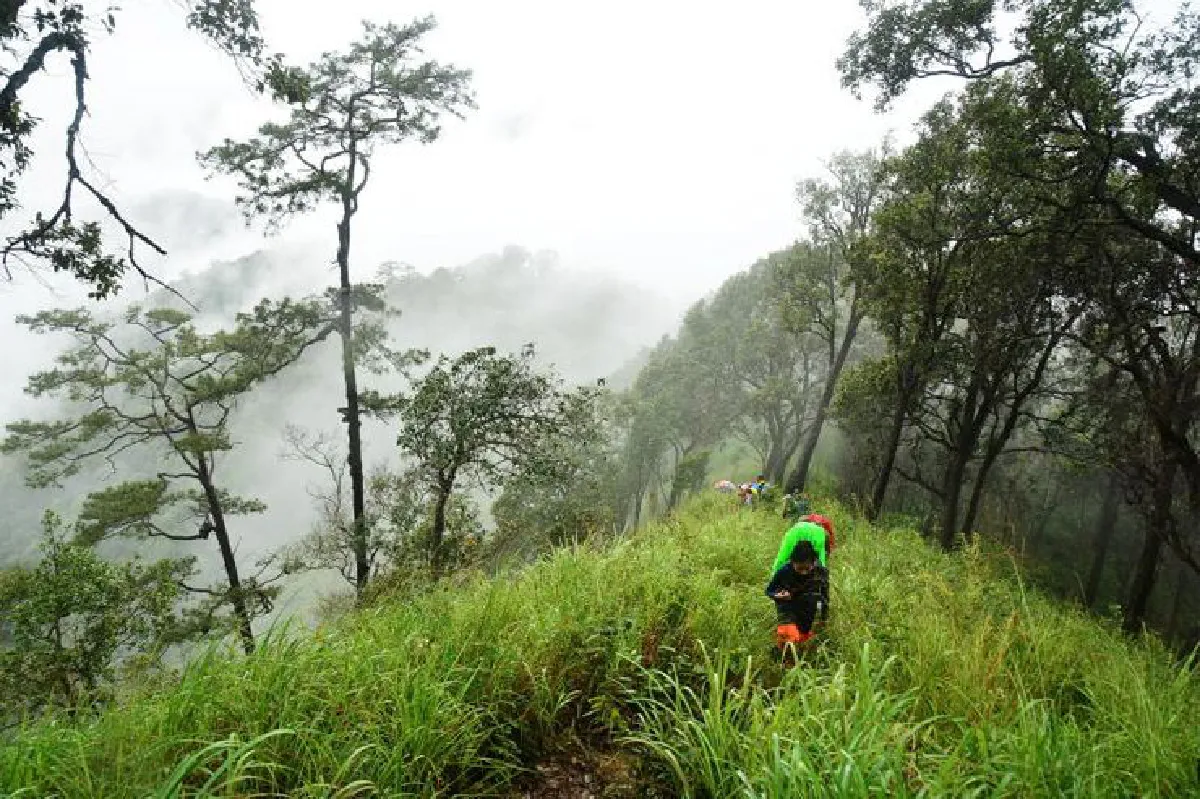 10 คำถามเป็นธรรมชาติ กับ คน หลง ป่า