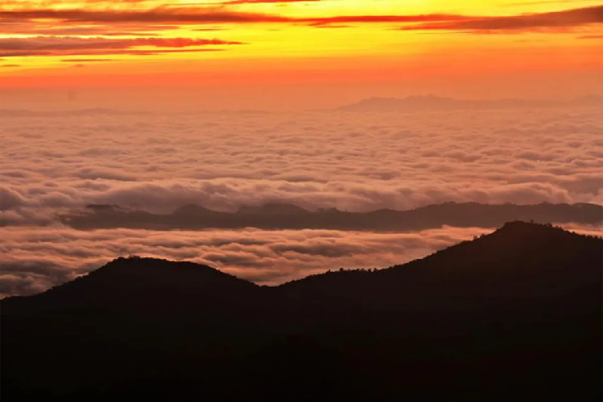 10 คำถามเป็นธรรมชาติ กับ คน หลง ป่า