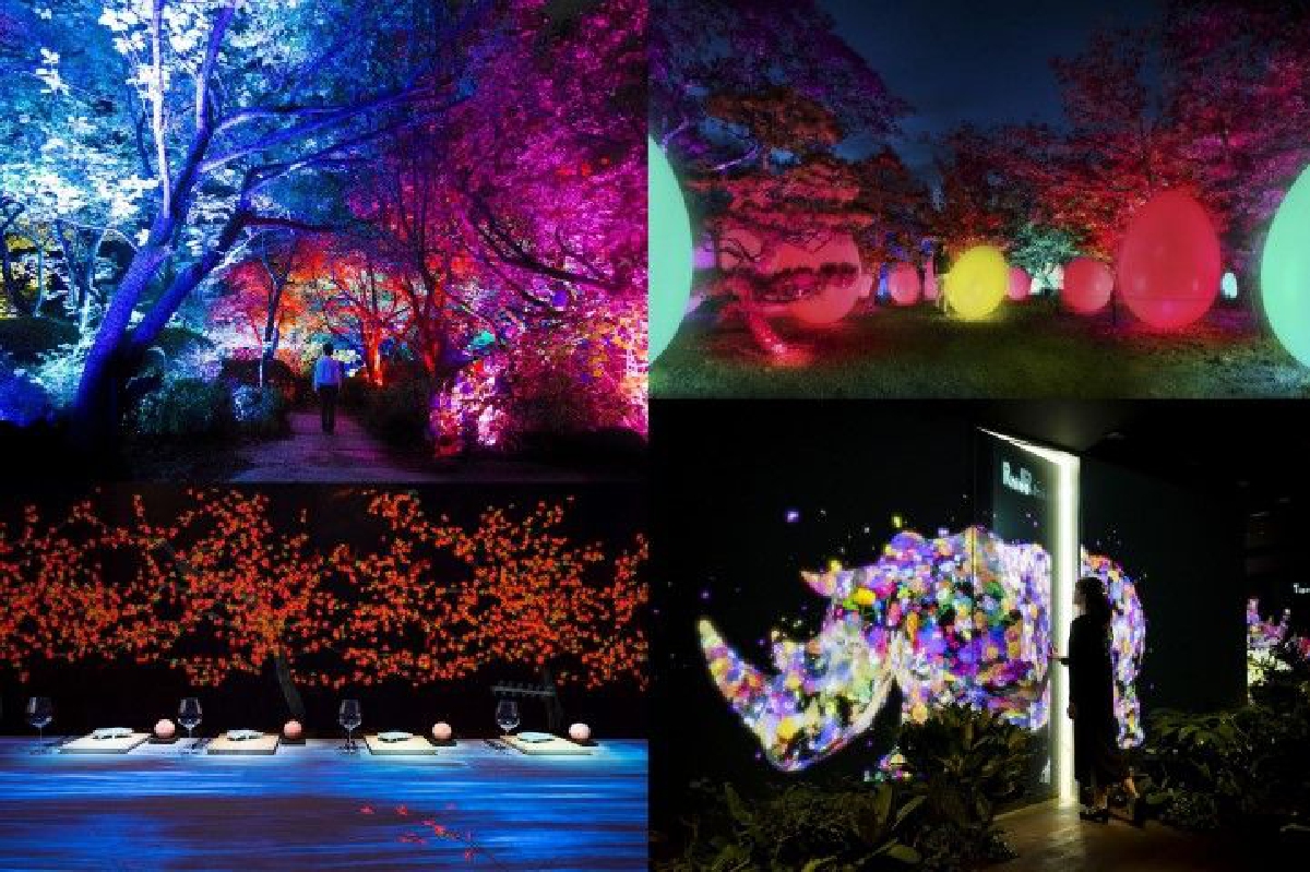เที่ยวญี่ปุ่น อย่าลืมปักหมุด! ชมงานศิลปะดิจิตัลสุดล้ำ teamLab เที่ยวญี่ปุ่น อย่าลืมปักหมุด! ชมงานศิลปะดิจิตัลสุดล้ำ teamLab