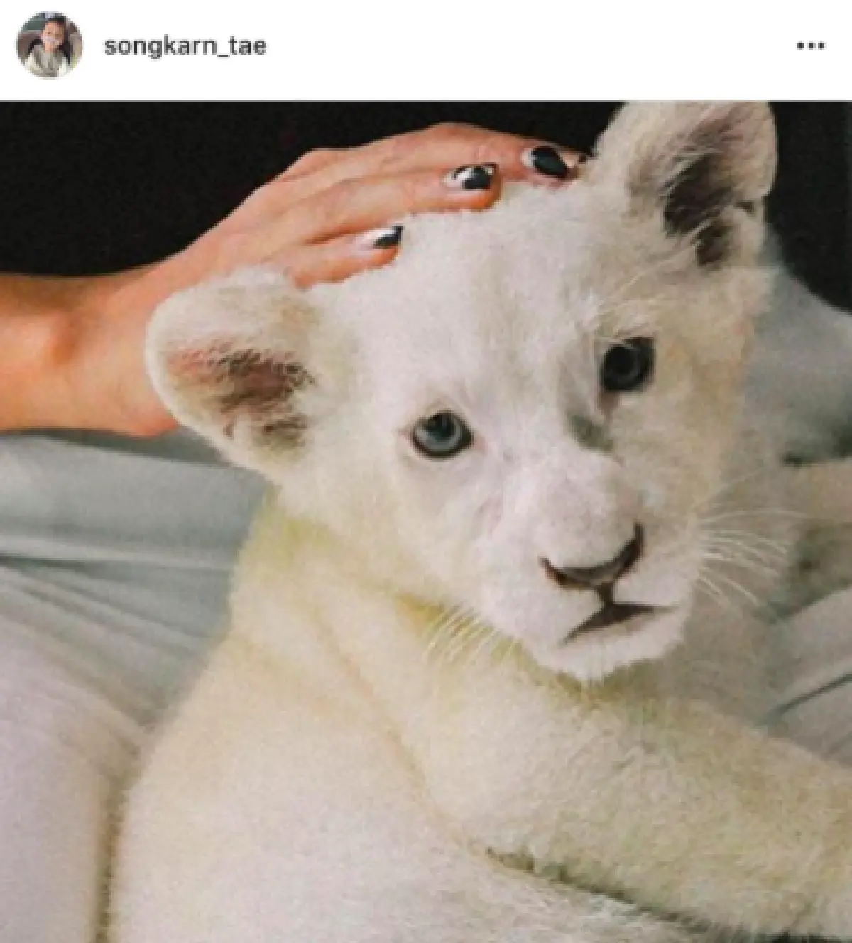 งานเข้าเต็มๆ "บอลลูน" ถูกจับผิดโยงเป็นมือที่สาม "แอฟ-สงกรานต์"