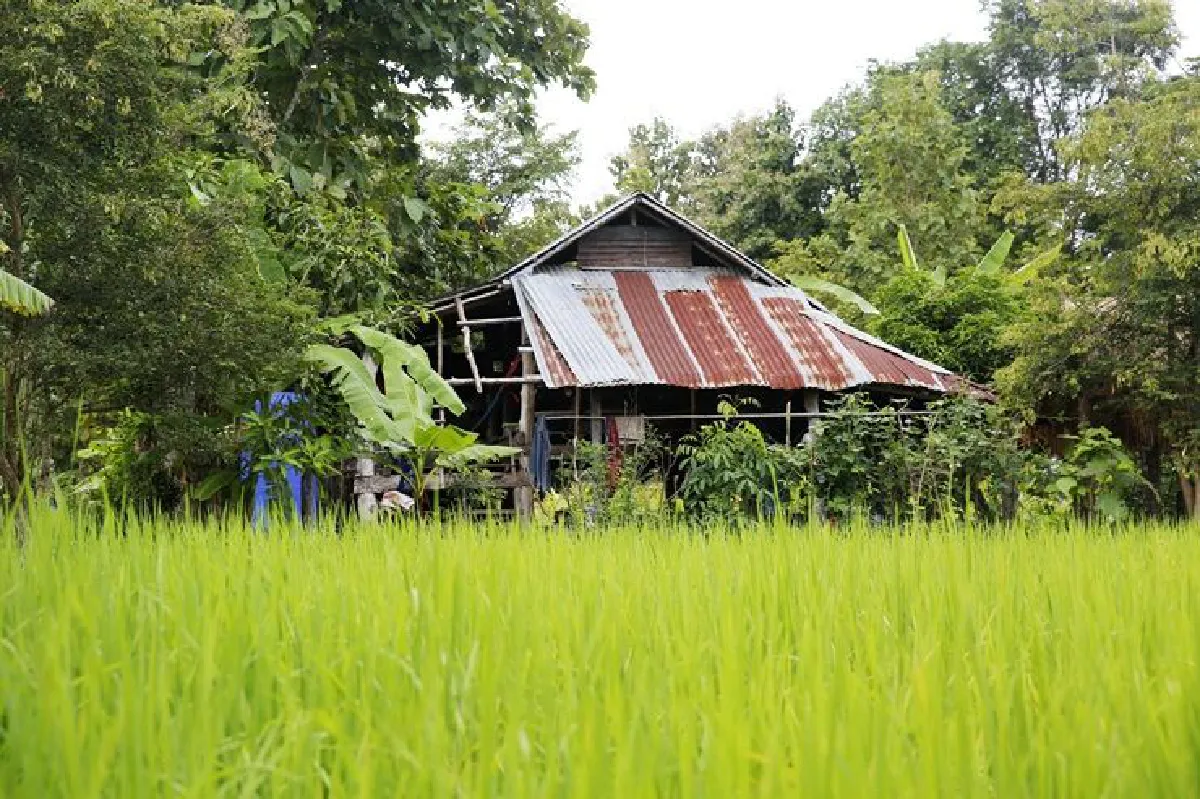 เที่ยว ‘หนาว’ นอกกระแส