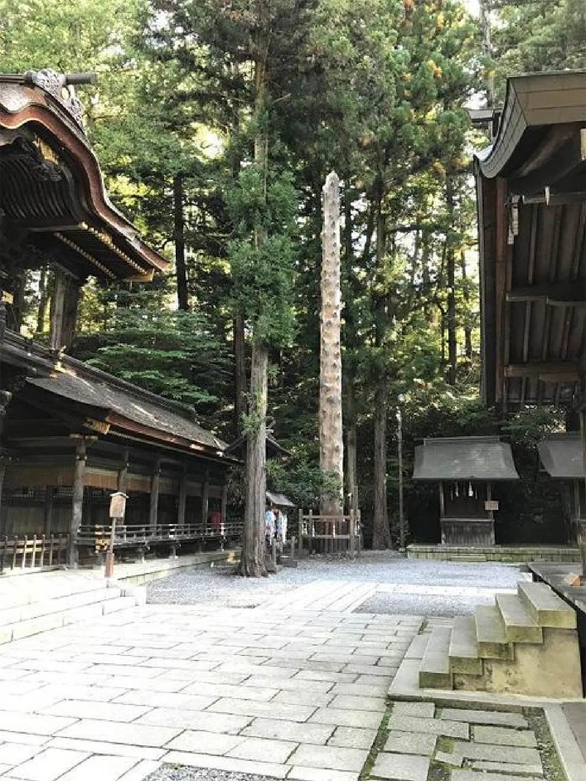 ไปนอนดูดาวที่ญี่ปุ่น 4