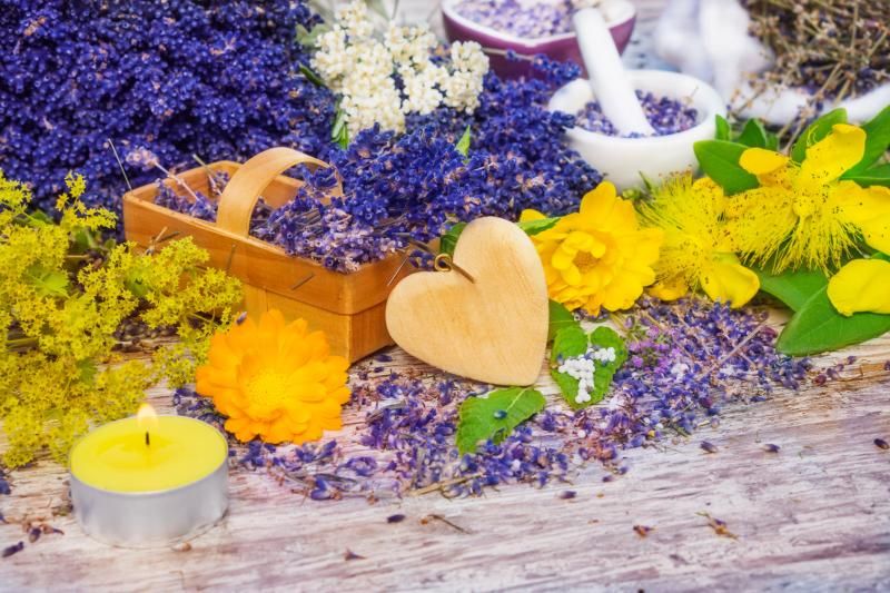 4 เคล็ดลับจัดการปัญหากลิ่นอับในรถ