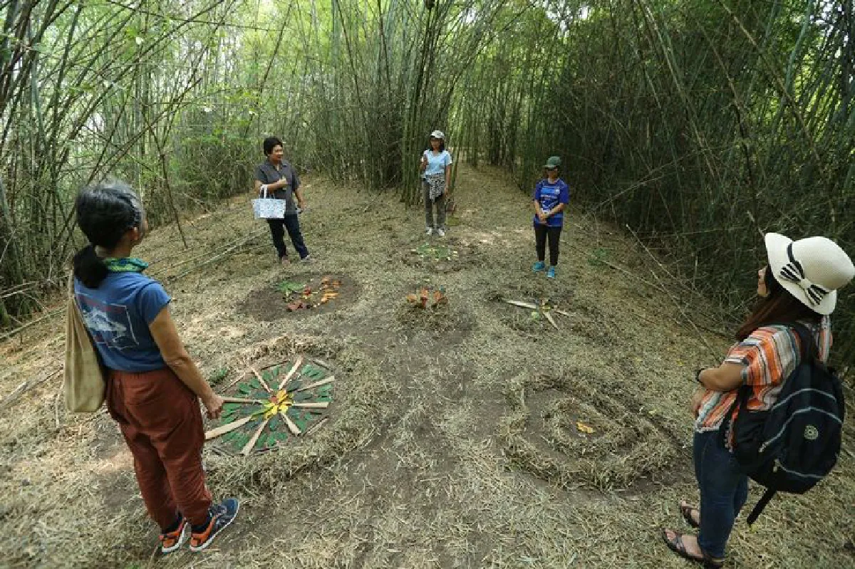 แมนดาลา เทราพี กลไกแห่งการเยียวยา