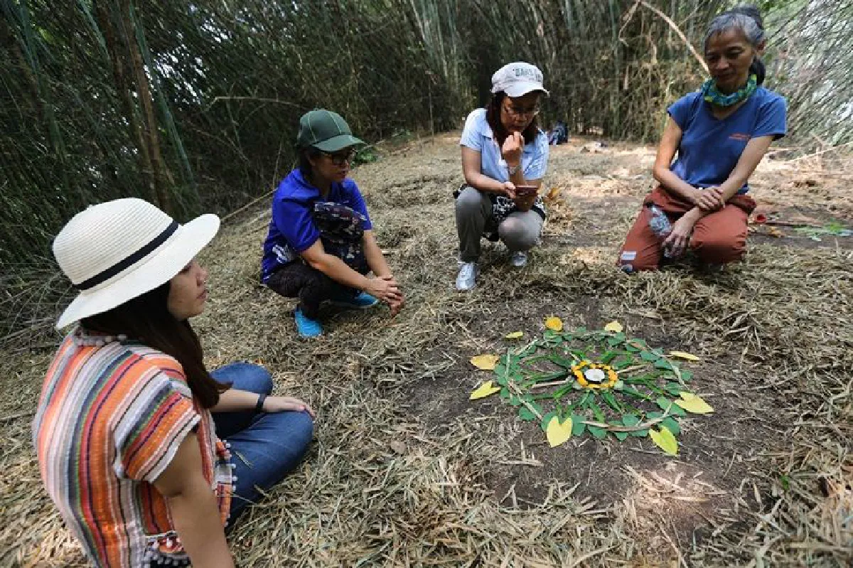 แมนดาลา เทราพี กลไกแห่งการเยียวยา