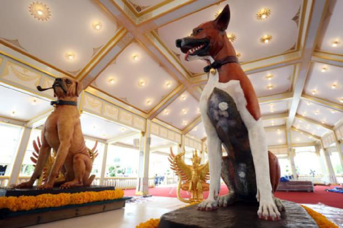 พระมหากรุณาเล่าเรื่องคุณทองแดง พระมหากรุณาเล่าเรื่องคุณทองแดง