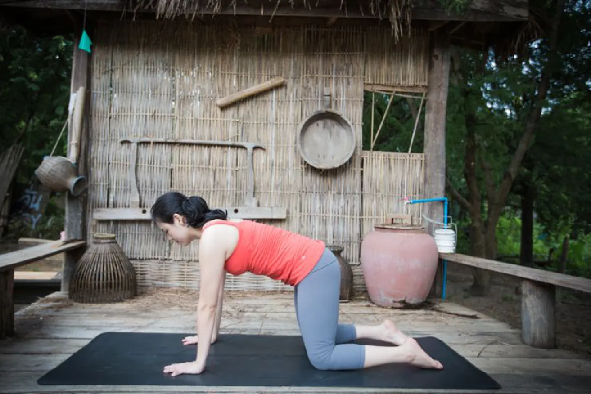 โยคะ ท่า Twisting Cat Pose Variation