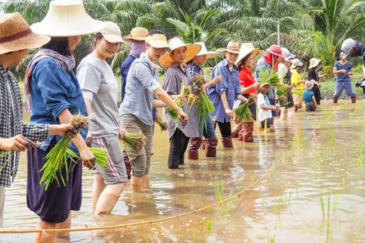 'ฟาร์มโตะ' แพลตฟอร์มเพื่อเกษตรกร 'ฟาร์มโตะ' แพลตฟอร์มเพื่อเกษตรกร