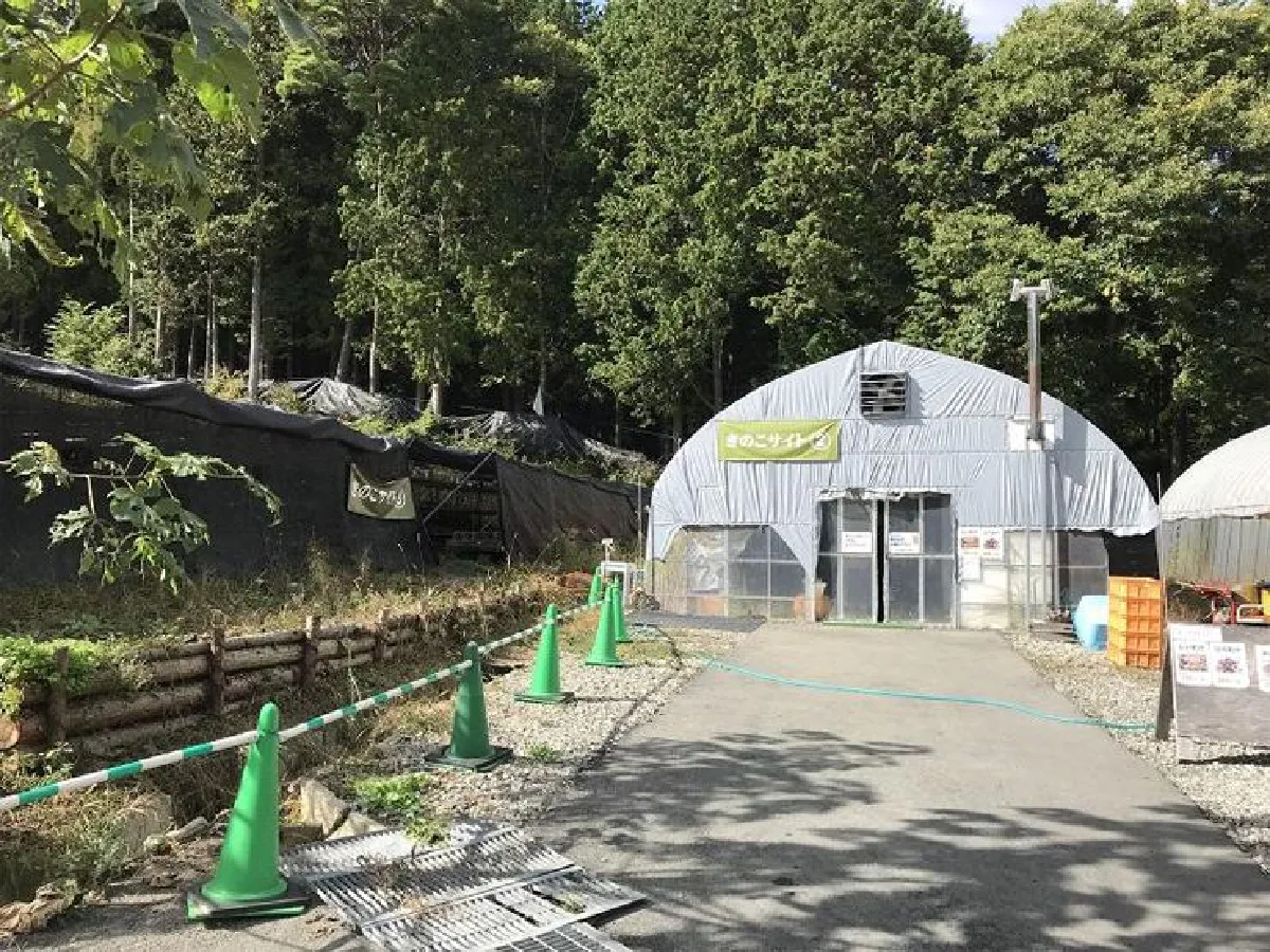 ไปนอนดูดาวที่ญี่ปุ่น 6