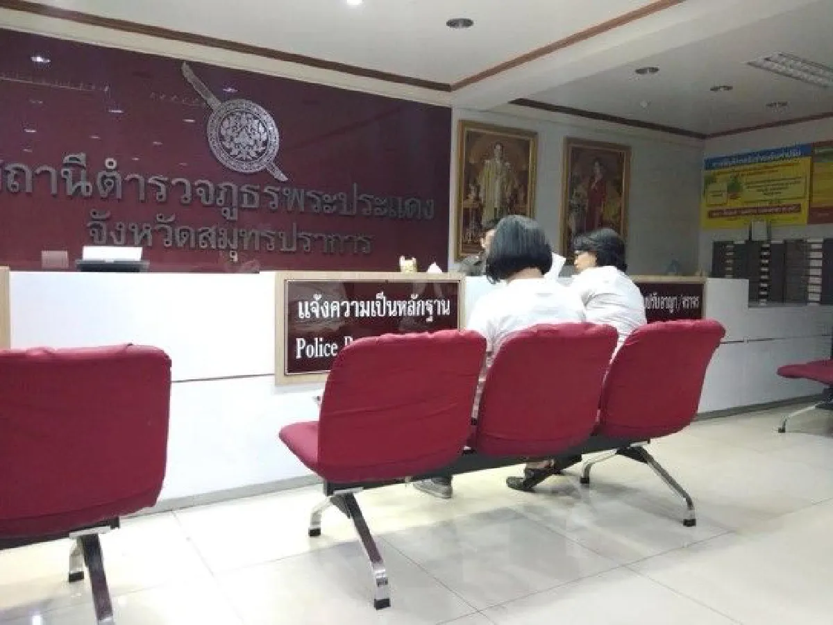 คดีขี้หมูราขี้หมาแห้งเมื่อ "แมว" กลายเป็นของกลางที่น่าฟัดที่สุดในโลก