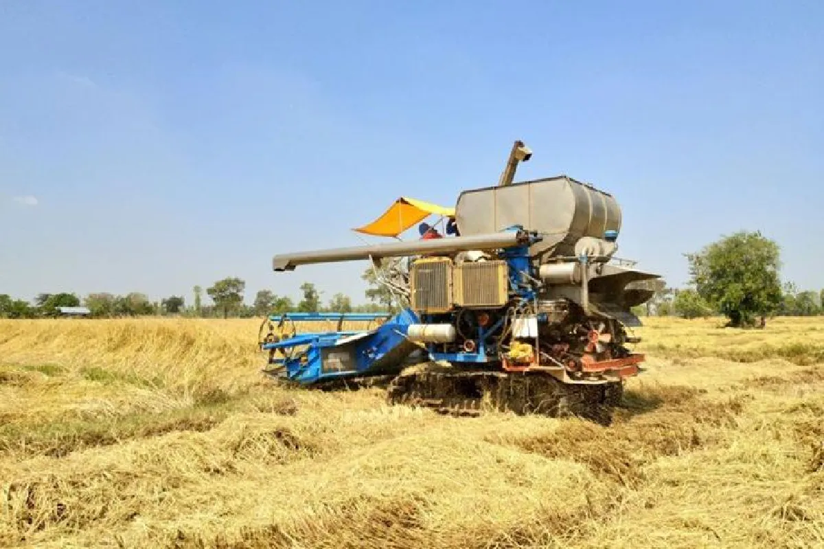 ฟื้นเทศกาลข้าวใหม่ ในยุคใหม่