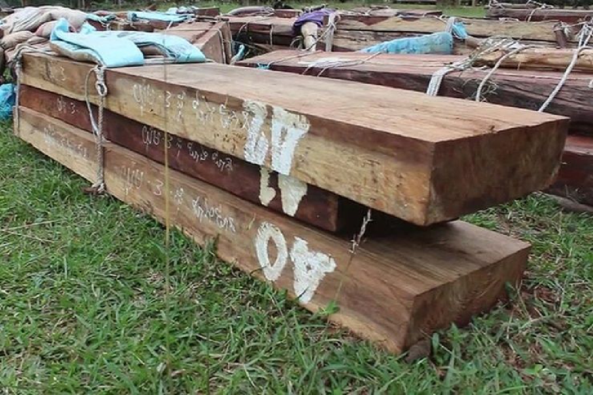 ให้ทหารช่วยระวัง 'เพื่อนบ้าน' แอบลักลอบตัด 'ไม้พะยูง' ให้ทหารช่วยระวัง 'เพื่อนบ้าน' แอบลักลอบตัด 'ไม้พะยูง'