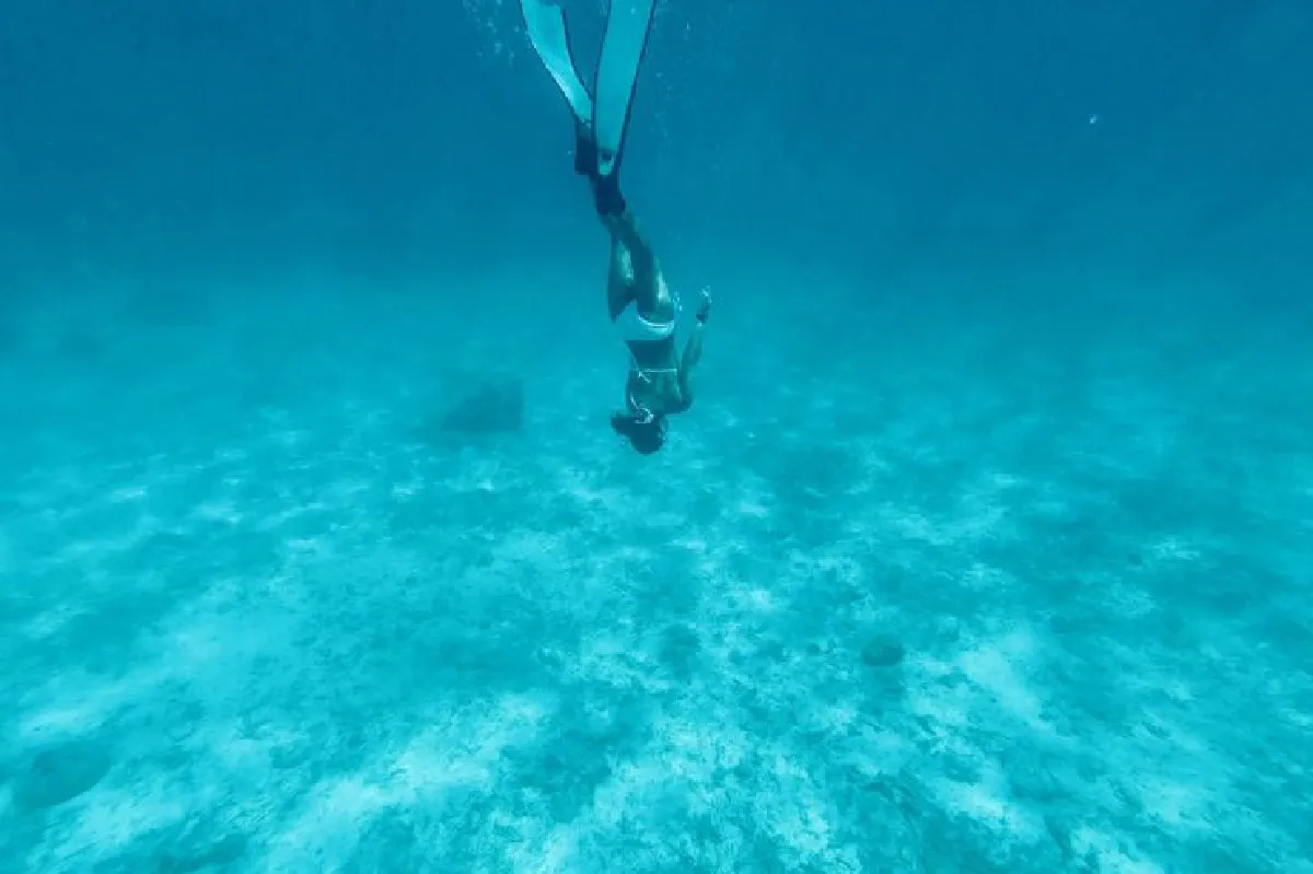 Nicole.Aloha  ชีวิตอิสระใต้ทะเล