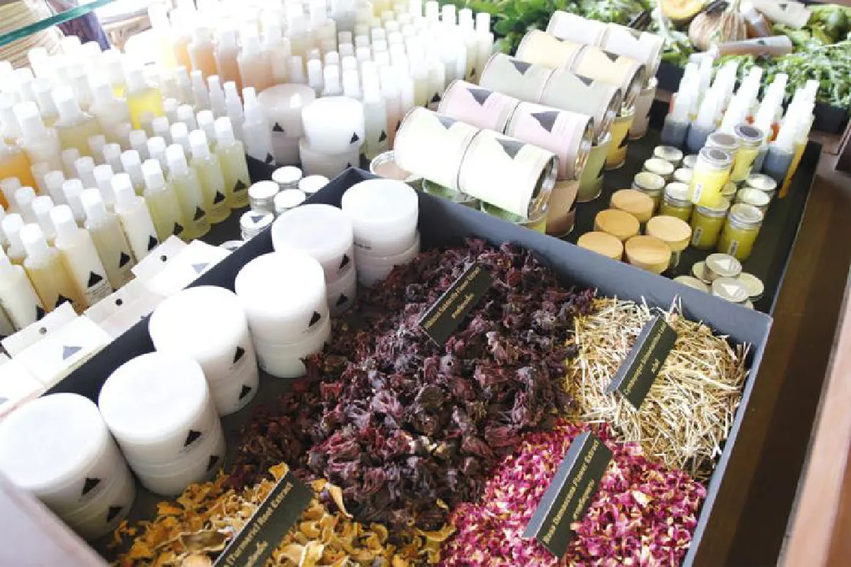 ไปเที่ยวงานสังคมสุขใจ ช็อป & ชิมผลผลิตเกษตรอินทรีย์ทั่วไทย