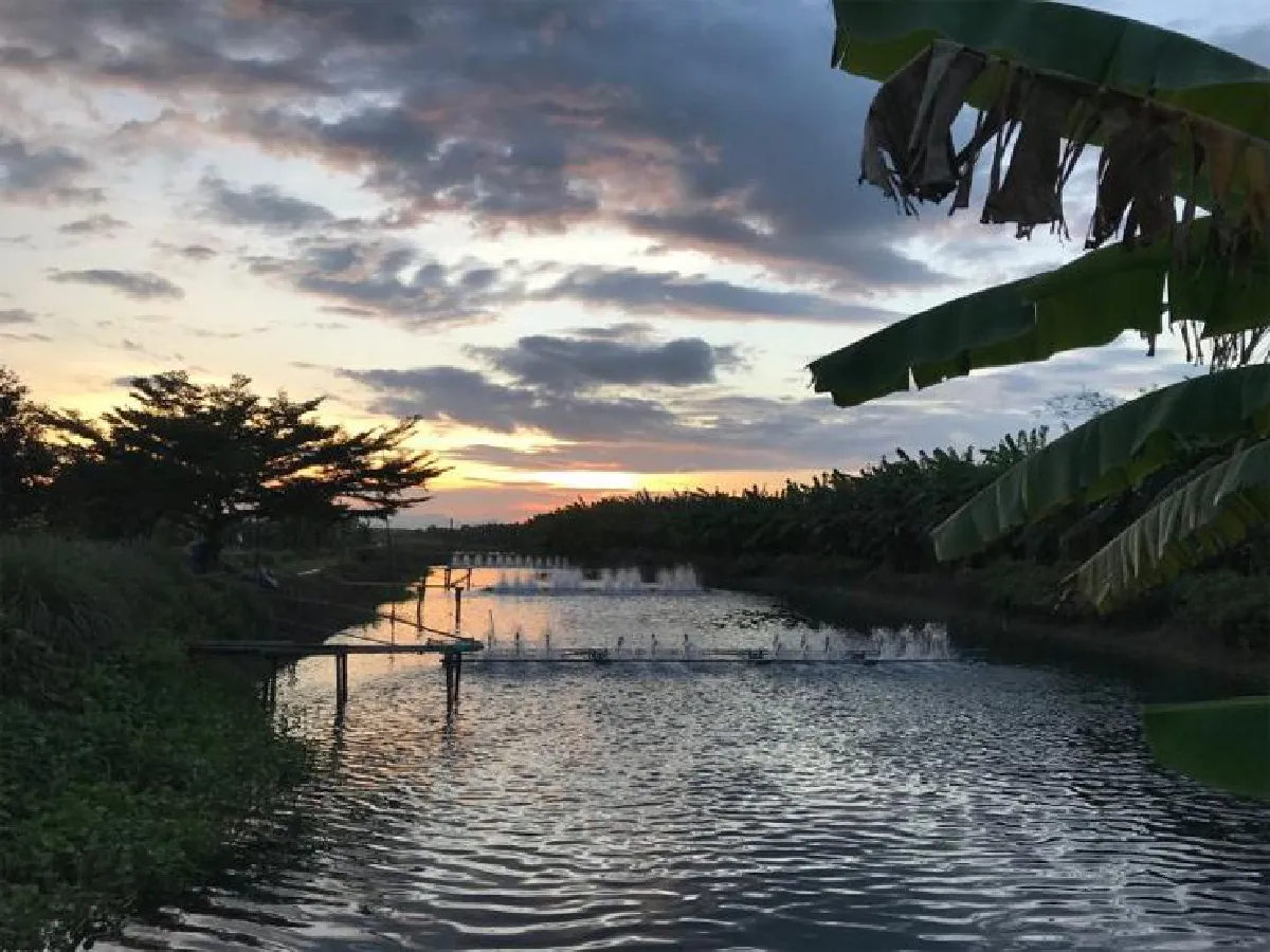 ศุภกิจ ห้วงน้ำ แห่ง ‘บ้านเปร็ดใน’ จ.ตราด พิพิธภัณฑ์ธรรมชาติจัดการน้ำชุมชน ตามแนวพระราชดำริ