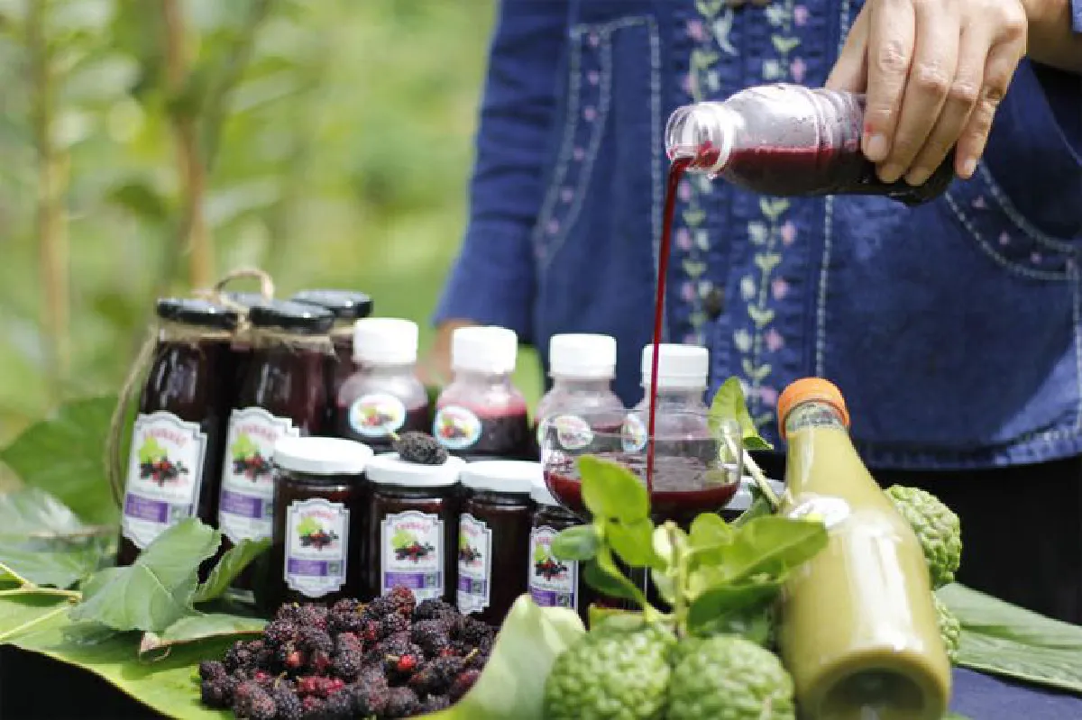 ไปเที่ยวงานสังคมสุขใจ ช็อป & ชิมผลผลิตเกษตรอินทรีย์ทั่วไทย