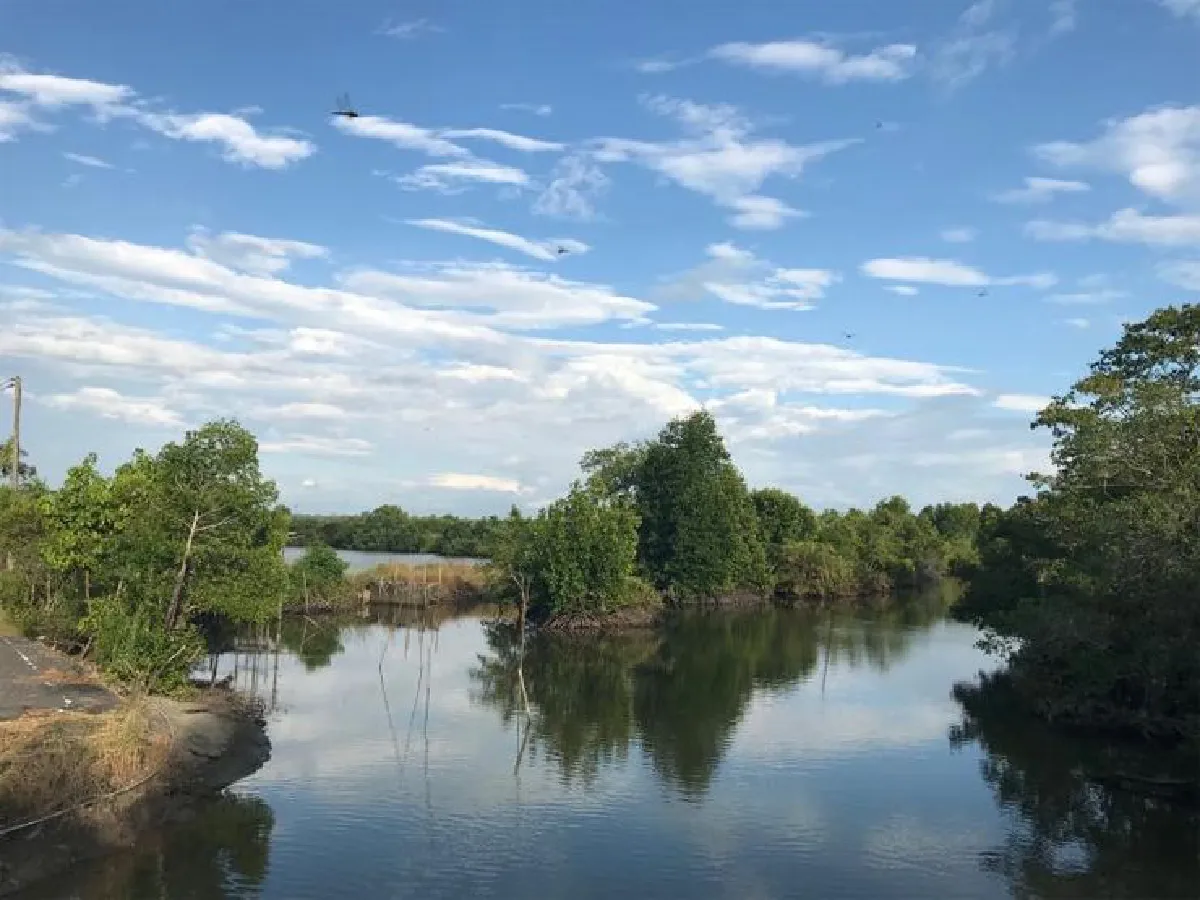 ศุภกิจ ห้วงน้ำ แห่ง ‘บ้านเปร็ดใน’ จ.ตราด พิพิธภัณฑ์ธรรมชาติจัดการน้ำชุมชน ตามแนวพระราชดำริ