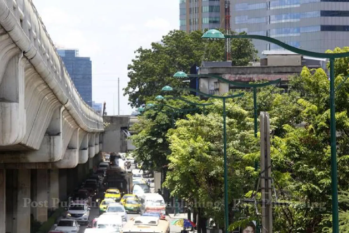 ไร้แผนปลูกต้นไม้ในกทม. เสียเงิน เสียเวลา เสียกำลังคน