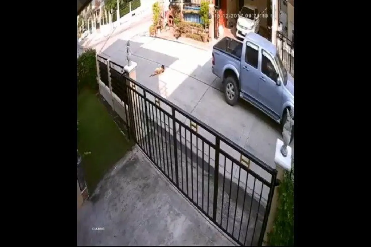 อุทาหรณ์! ปล่อยให้เด็กวิ่งเล่นในหมู่บ้าน ถูกรถกระบะชนเสียชีวิต