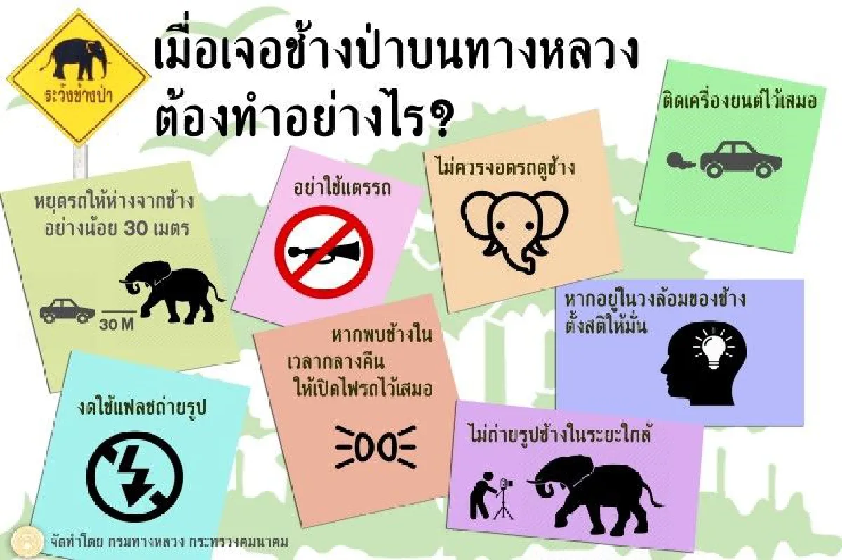 ทางหลวงเตือนระวังช้างป่าอุทยานอ่างฤาไน