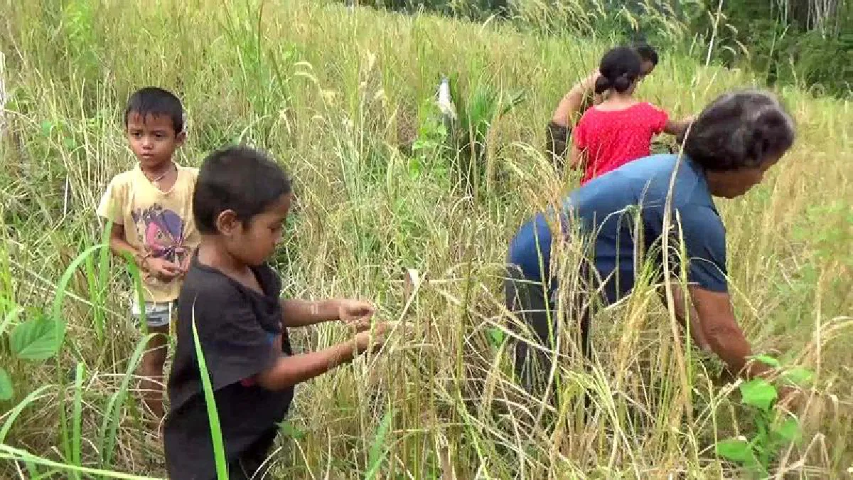 หนัก!ยายเลี้ยงหลาน5ลูกชาย1ในบ้านใกล้ผุพังซ้ำยากจน