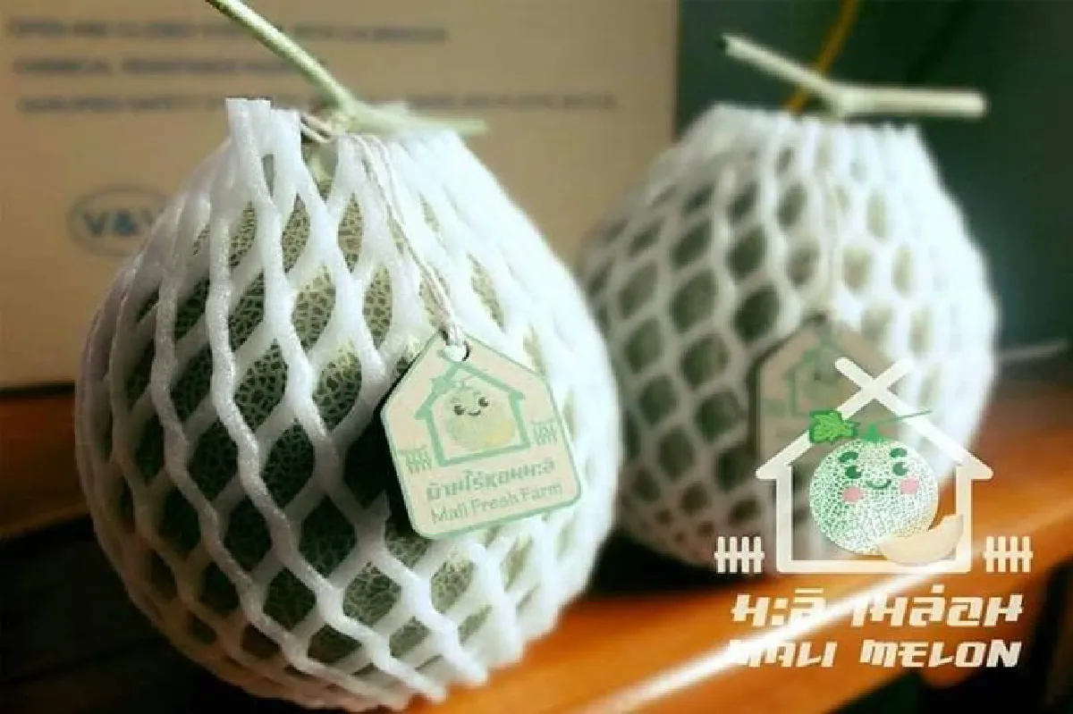 "ฟาร์มบ้านไร่หอมมะลิ" สร้างเมล่อน สุดครีเอท