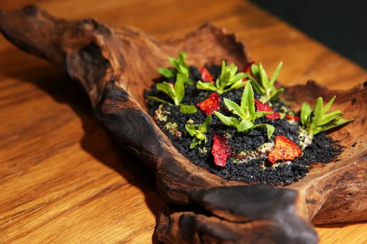 เนเจอร์ อินสไปร์ แรงบันดาลใจจากธรรมชาติ