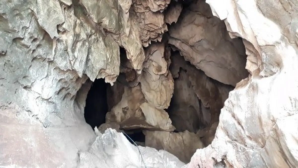 ตะลึง!มูลค้างคาวมีค่านับร้อยล้านเต็มถ้ำเจ้ารามสุโขทัย