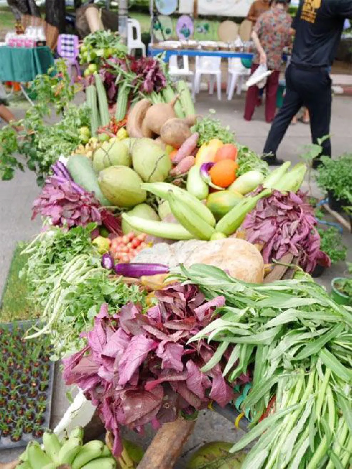 ตลาดสีเขียวเพื่อคนเมืองขอนแก่น