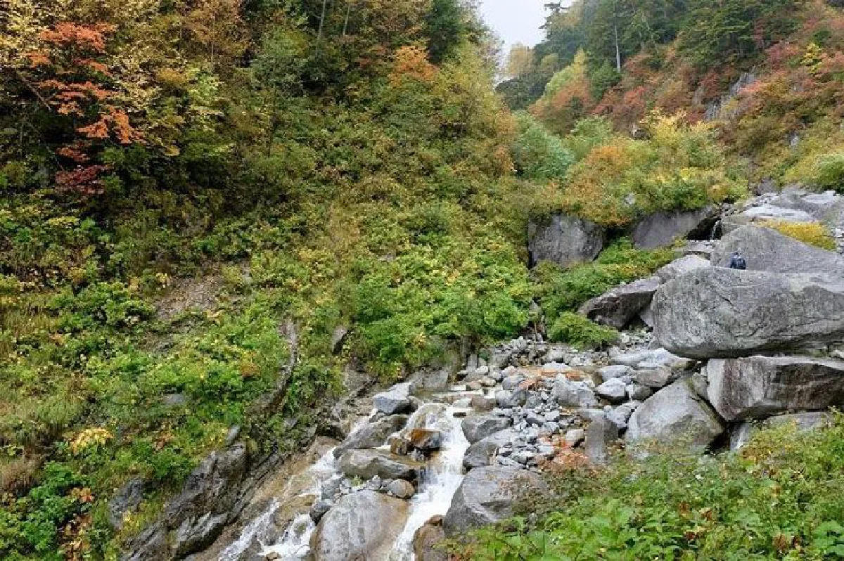 ไปนอนดูดาวที่ญี่ปุ่น (จบ)