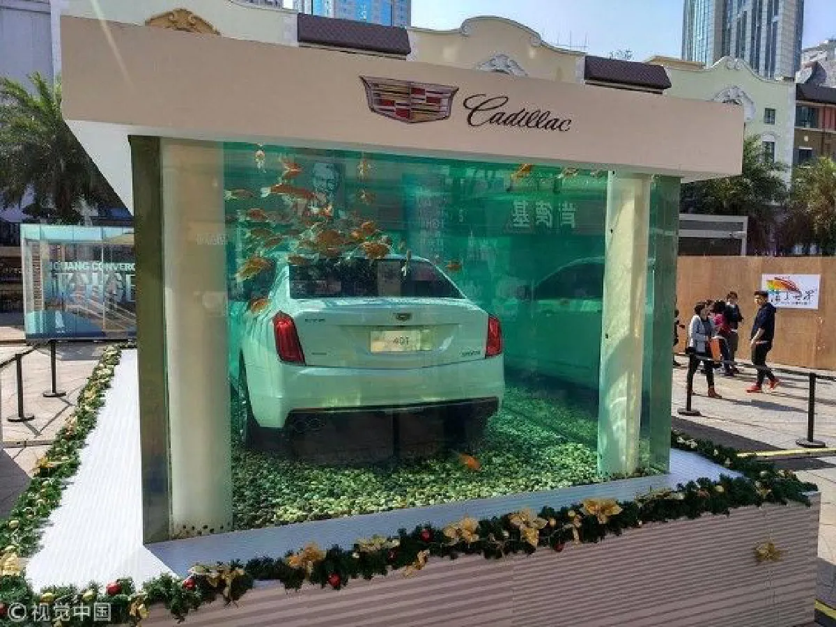 จอดในตู้ปลา! โปรโมทรถยนต์สไตล์เซินเจิ้น สื่อถึงการประสบความสำเร็จ