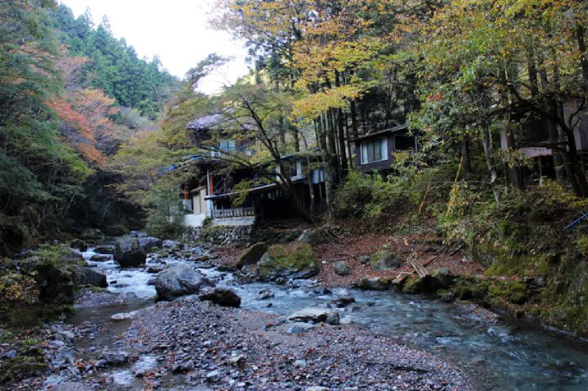 ไซตามะเมืองเก่า + ใหม่ ภูเขา สายน้ำ และธรรมชาติ