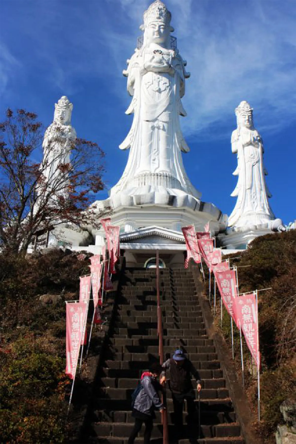 ไซตามะเมืองเก่า + ใหม่ ภูเขา สายน้ำ และธรรมชาติ