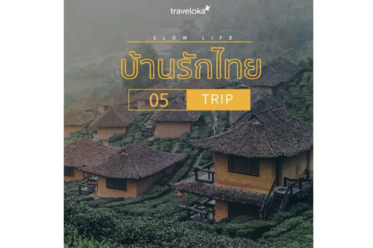 10 วันหยุดสุดสโลว์ จองที่พักแล้วไปชิลกัน