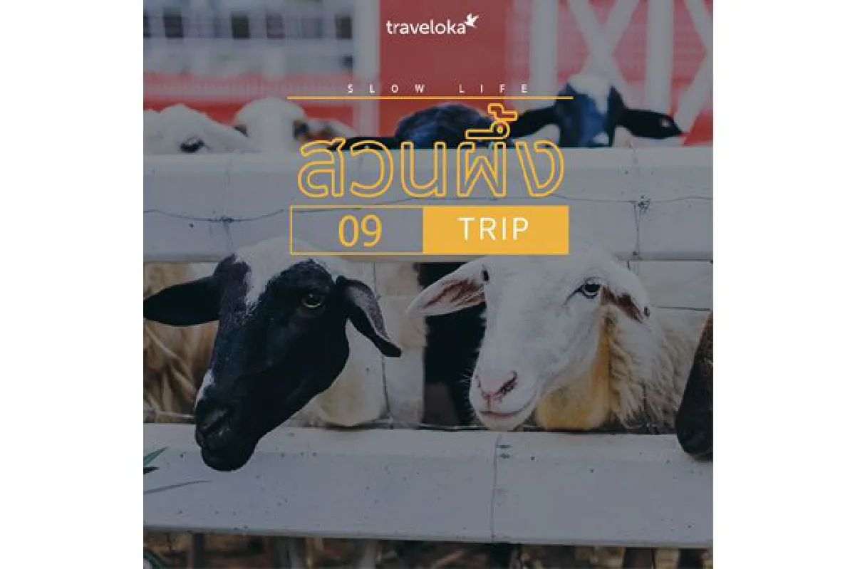 10 วันหยุดสุดสโลว์ จองที่พักแล้วไปชิลกัน