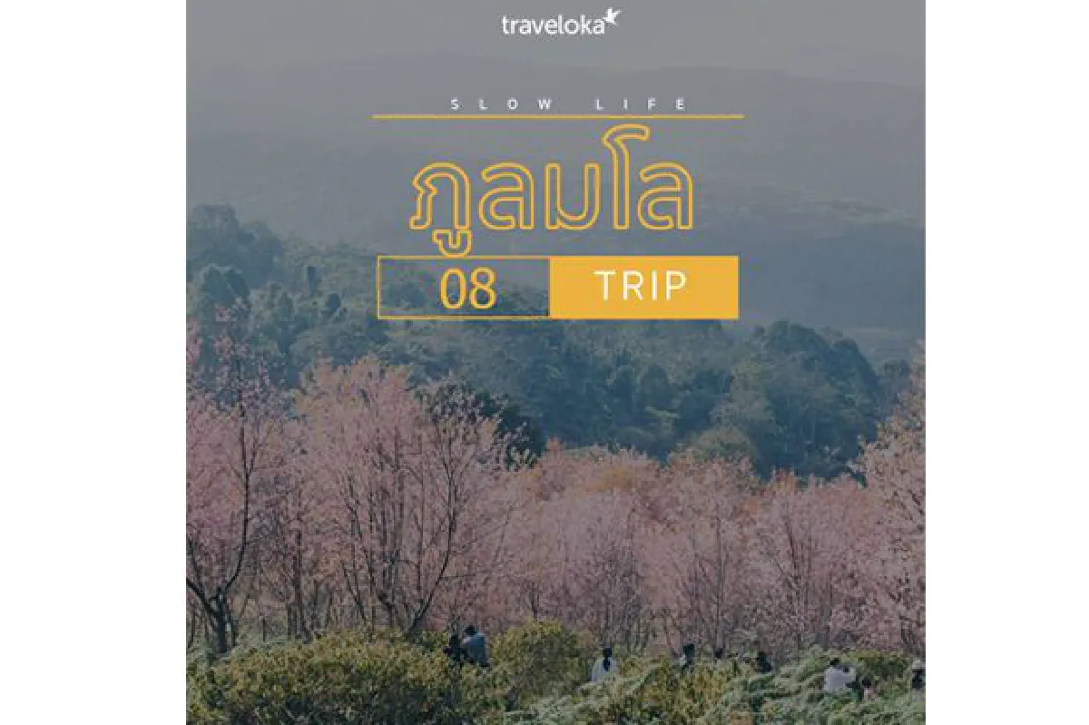 10 วันหยุดสุดสโลว์ จองที่พักแล้วไปชิลกัน