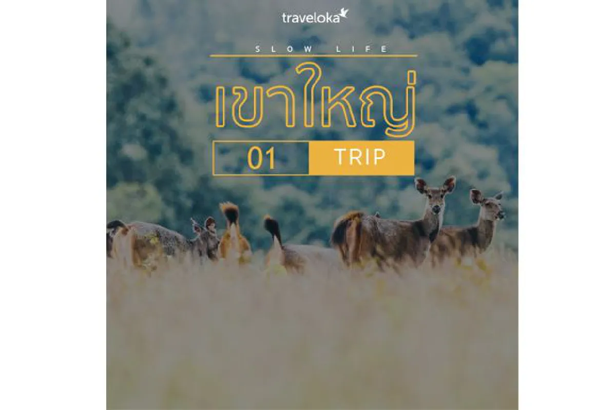 10 วันหยุดสุดสโลว์ จองที่พักแล้วไปชิลกัน