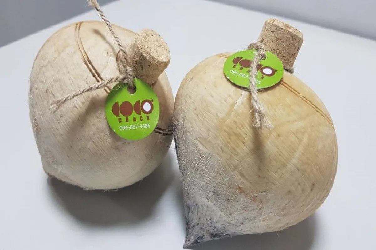 ใส่ไอเดียให้ "มะพร้าว" เปลี่ยนสินค้าเกษตรราคาหลักสิบสู่ธุรกิจรายได้หลักล้าน