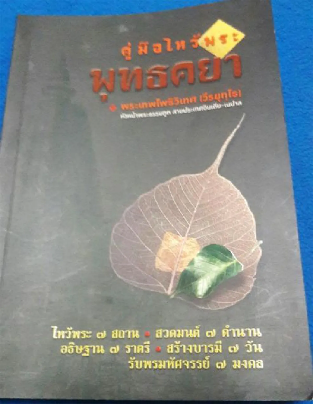 คู่มือไหว้พระที่อินเดีย