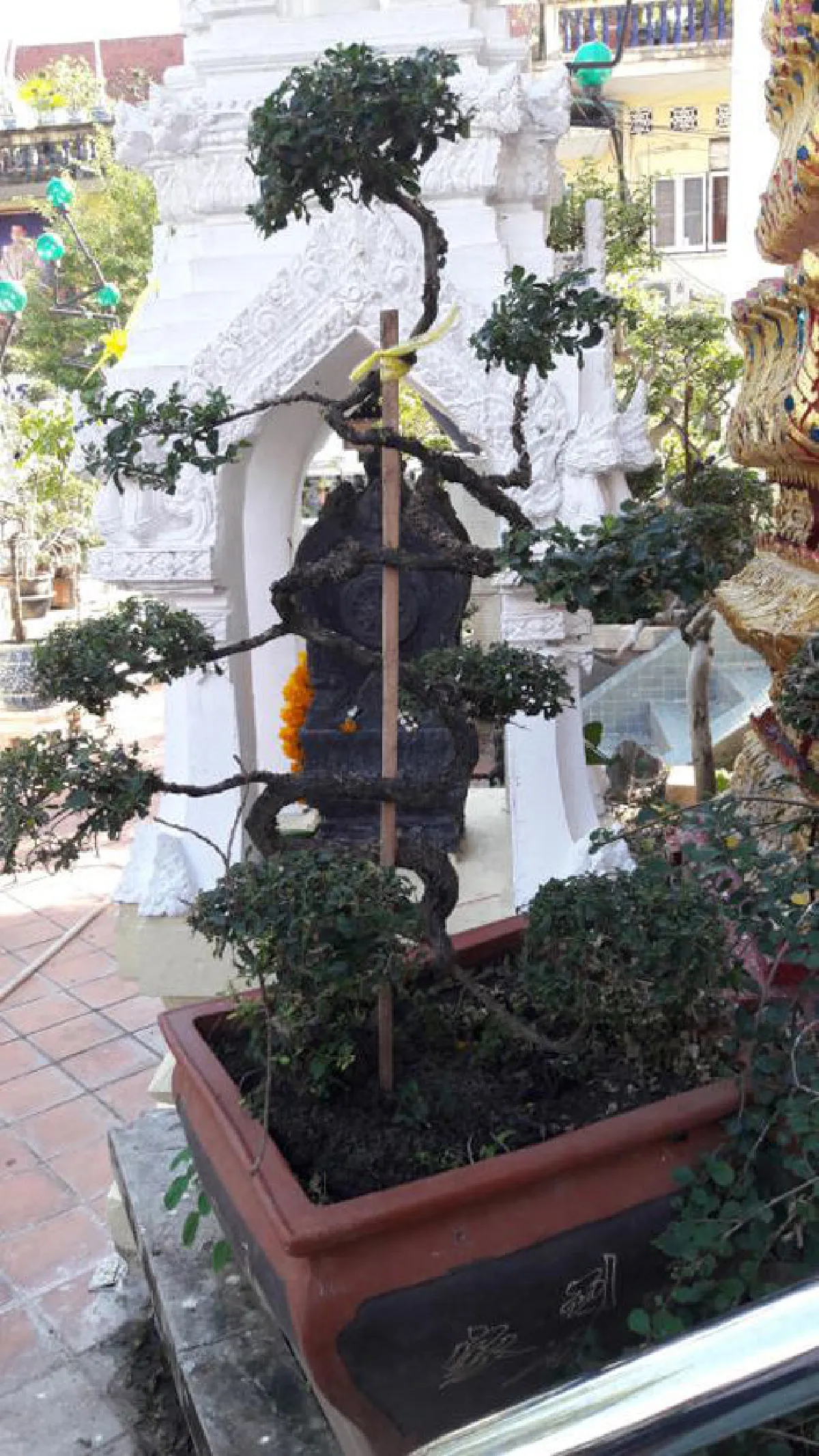 วัดคลองเตยใน แหล่งรวมศิลปวัฒธรรมไทย